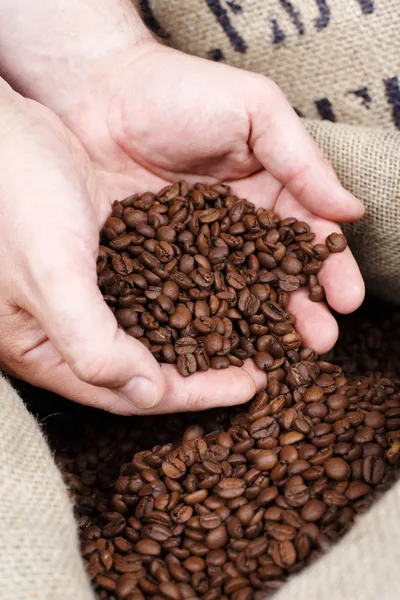 Руки с кофейными зёрнами, крупным планом — стоковое фото