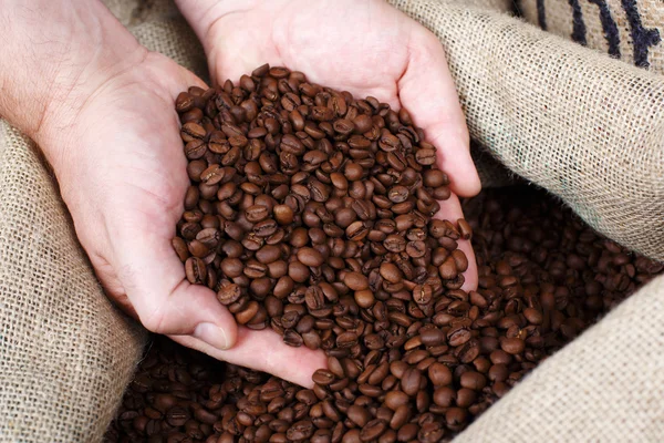 Removing Roasted Coffee Beans — Stock Photo, Image