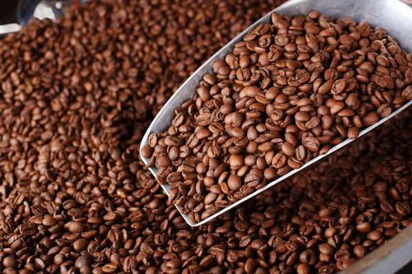 Scoop of coffee beans — Stock Photo, Image