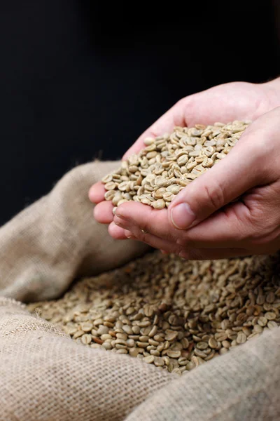 Зелений кава в зернах — стокове фото