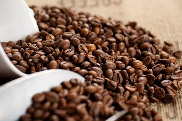 Gebrande koffie zaad — Stockfoto