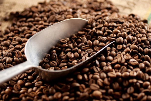 Scoop of coffee beans — Stock Photo, Image