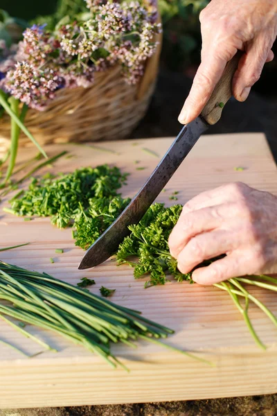 Organiczne zioła cięcia — Zdjęcie stockowe