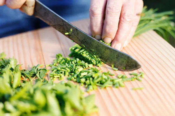 Schnittlauch — Stockfoto