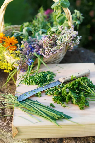 Cake herbs — Stock Photo, Image