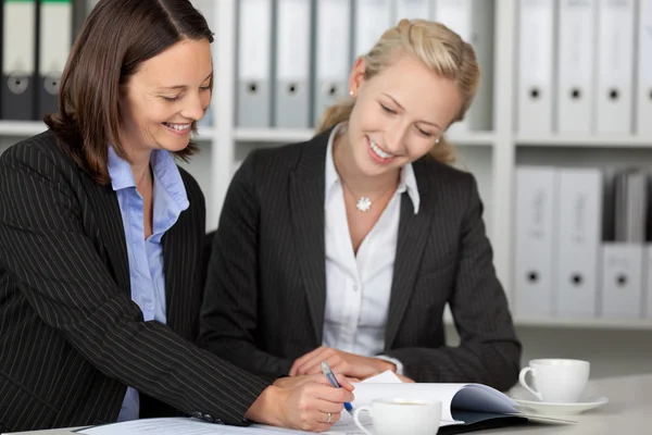 Businesswomen Working On File At Desk — Stock Photo, Image