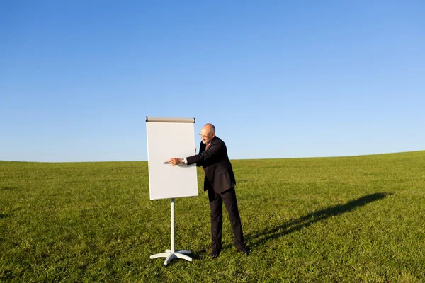 Maturo uomo d'affari puntando a Flipchart su erba campo — Foto Stock