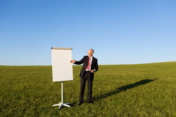 Mature Businessman Pointing At Flipchart On Field — Stock Photo, Image