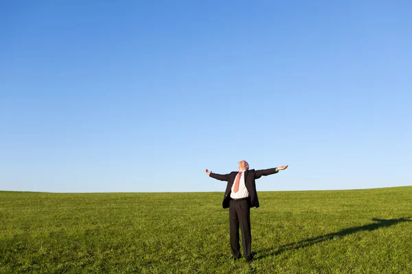 Businessman With Arms Outstretched Standing In Field — Stock Photo, Image