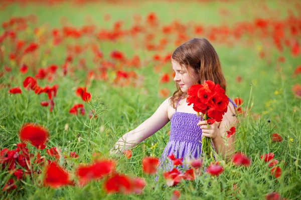 Ung flicka plocka blommor — Stockfoto