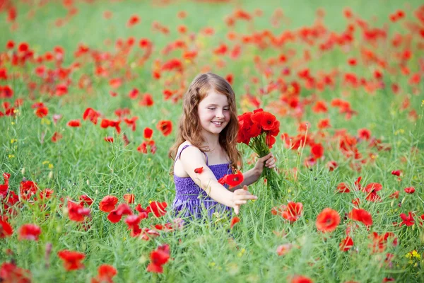 Güzel küçük bir kız kırmızı poppies toplama — Stok fotoğraf