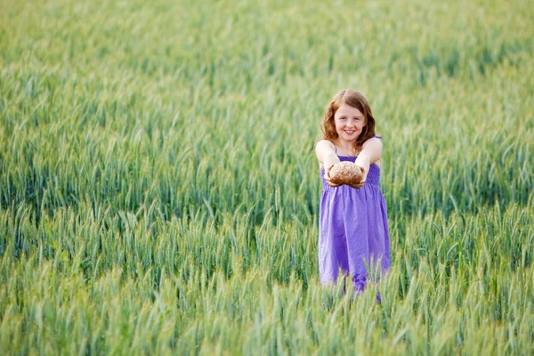 Young girl with bread in a wheatfield — Stock Photo, Image