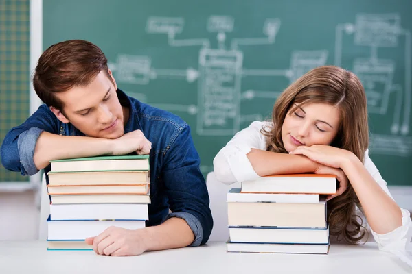 Estudantes dormindo na pilha de livros contra o papelão — Fotografia de Stock