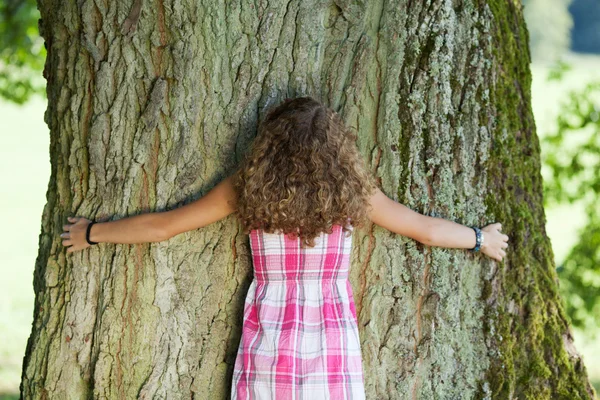 Vue arrière sur la fille embrassant un arbre — Photo