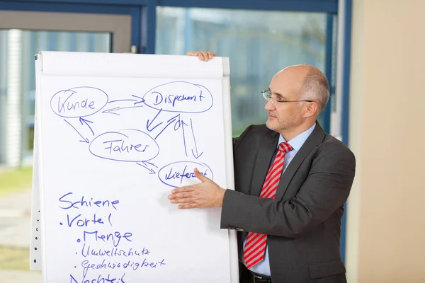 Businessman Explaining Plan — Stock Photo, Image
