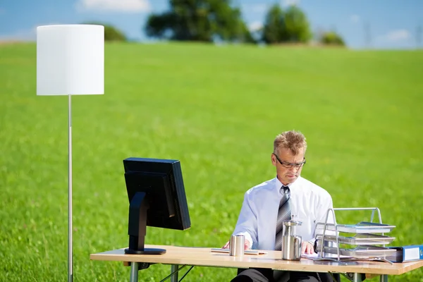 Office on green meadow — Stock Photo, Image