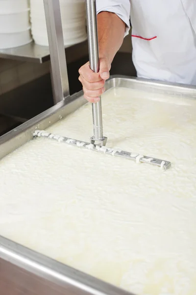 Freshly fermented cheese — Stock Photo, Image