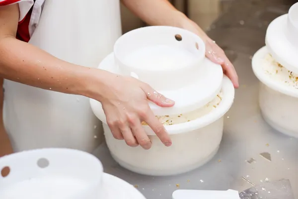 Formaggio spagnolo — Foto Stock