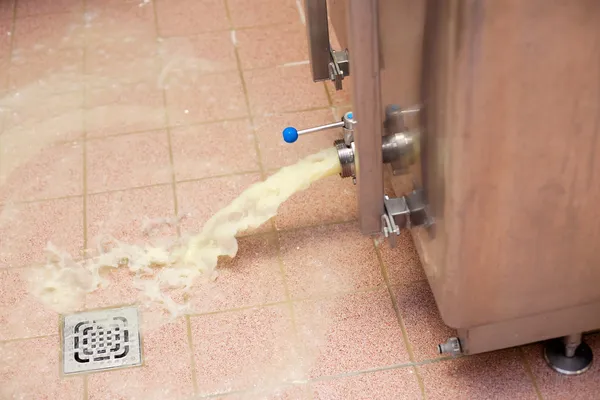 Produzione di formaggio — Foto Stock