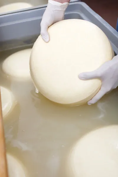 Maken van kaas — Stockfoto