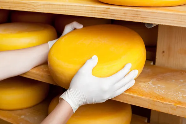 Cheese stacked — Stock Photo, Image