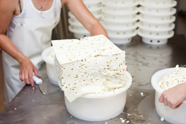 Cheesemaker filling colanders with fresh curd — Stock Photo, Image