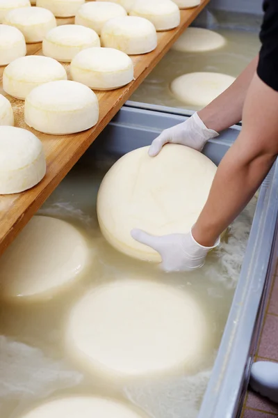 Cheese process — Stock Photo, Image