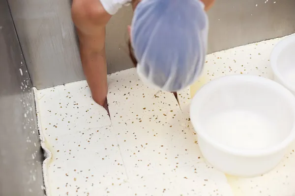 Mujer en fábrica de queso —  Fotos de Stock