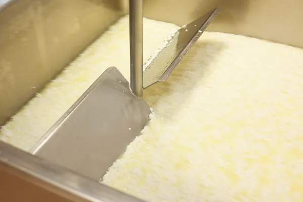 付加価値税マシンの cheesemaking のミルクを curding — ストック写真