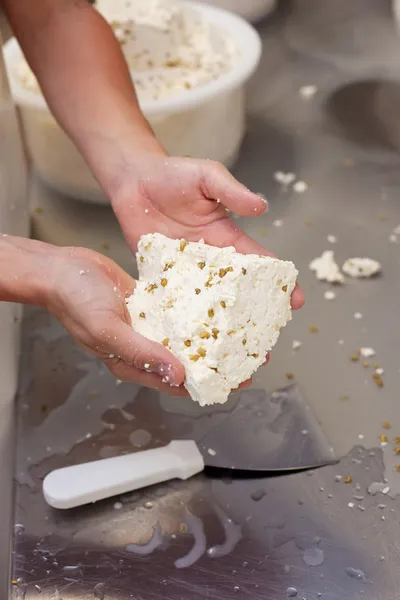 Fabrico de queijo — Fotografia de Stock