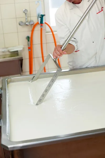 Lavoratore di fabbrica fermentazione del latte — Foto Stock