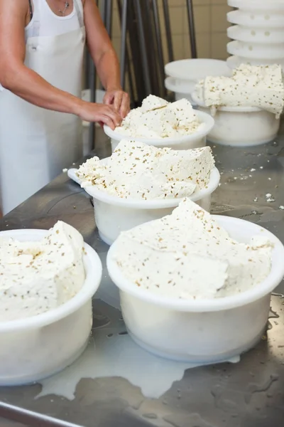 Queijo tradicional — Fotografia de Stock