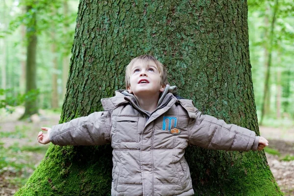 Маленький мальчик опирается на большое дерево — стоковое фото