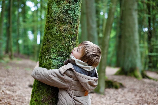 Kleine kind omhelst boomstam — Stockfoto