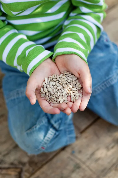 Slunečnicová semínka v rukou malého chlapce — Stock fotografie