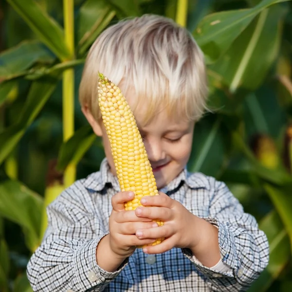 Sorrindo menino loiro segurando milho doce na espiga — Fotografia de Stock