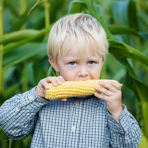 Adorable young boy eating corn outside — Stock Photo, Image