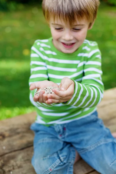 Kleiner Junge mit Sonnenblumenkernen im Garten — Stockfoto