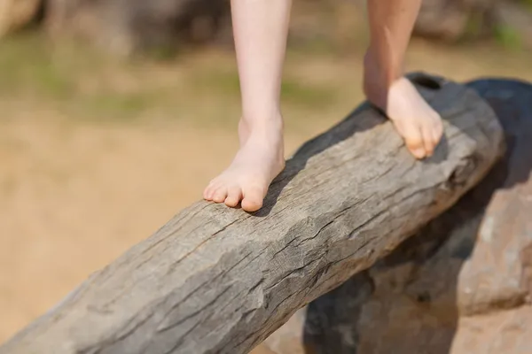Sección baja de chica de pie en tronco de árbol — Foto de Stock