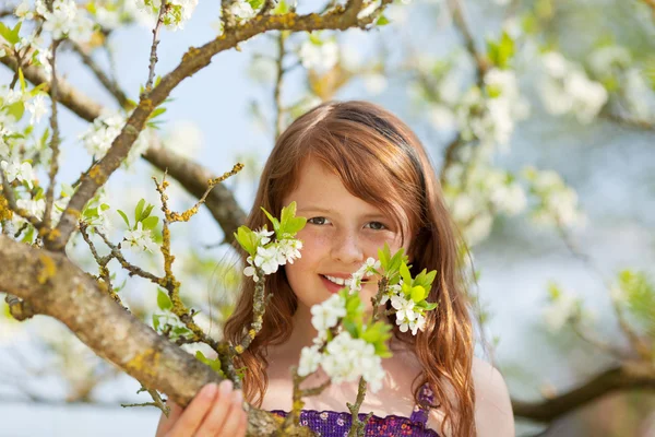 Mooi meisje zit in een boom met bloesem — Stockfoto