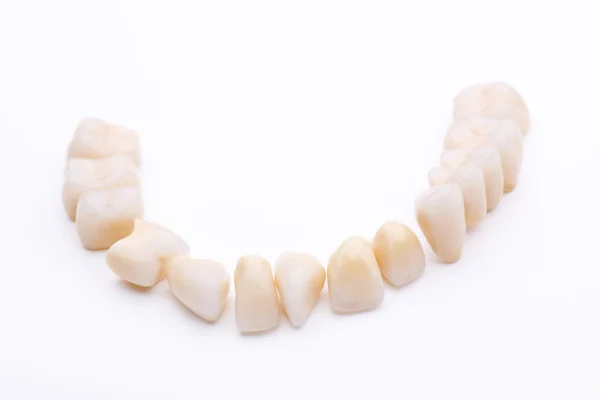 Complete lower dentition of prosthetic teeth — Stock Photo, Image