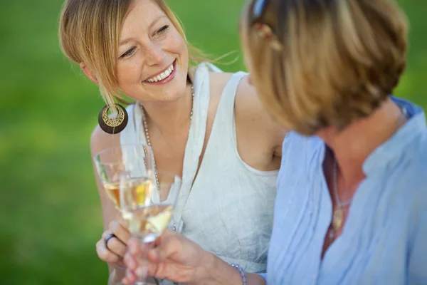 Donna guardando sorella mentre tenendo bicchiere da vino in prato — Foto Stock