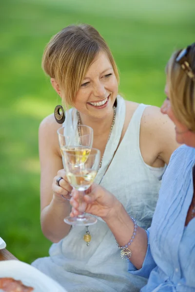 Laughing women saying cheers — Stock Photo, Image