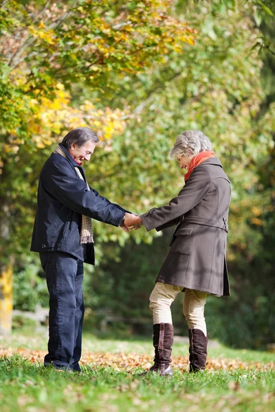 Senior Couple Holding hands — Stock Photo, Image