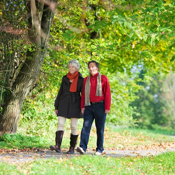 Caminando pareja mayor — Foto de Stock