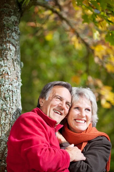 Felice vecchia coppia — Foto Stock