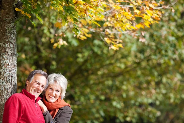 Senior couple — Stock Photo, Image