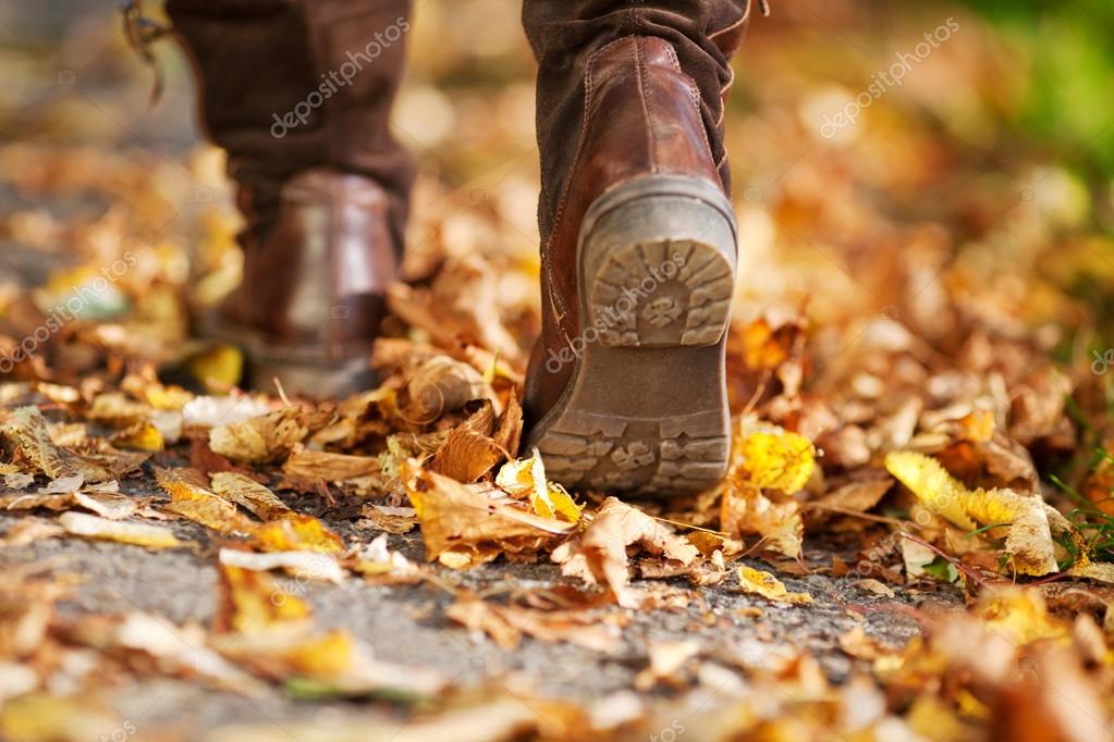 Ноги в листве. Обувь в листве. Женские ноги в осенней листве. Ходить листвой. Листья под ногами.