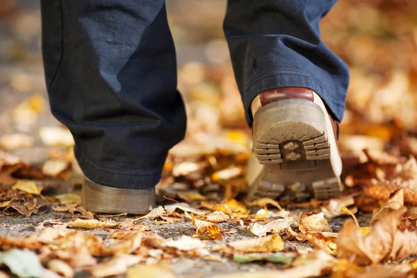 Un homme se promène dans la forêt en automne — Photo