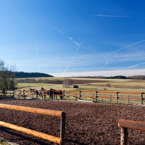 A área de equitação — Fotografia de Stock